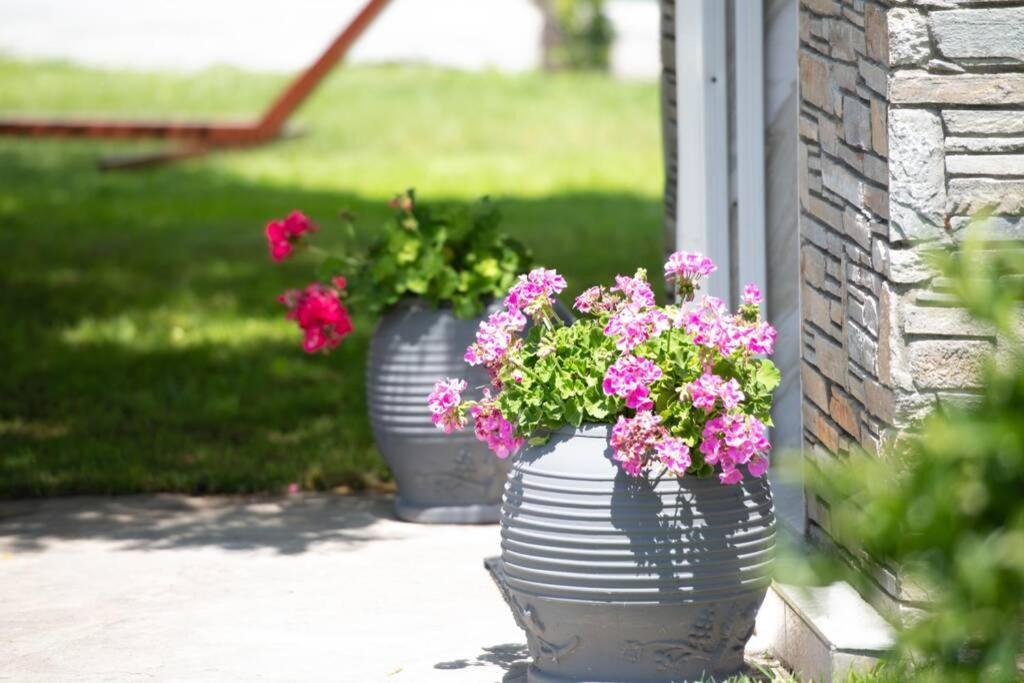 Nuestro Jardin Villa Sykia Chalkidikis Luaran gambar